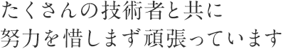 たくさんの技術者と共に
努力を惜しまず頑張っています